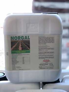 Norgal με ελεύθερα αμινοξέα μικρού μοριακού βάρους (5lt)