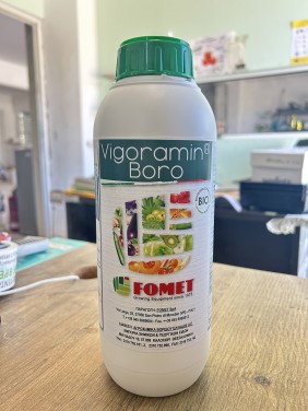 Vigoramin Boro – Βιοδιεγέρτης με 37,5% ολικά αμινοξέα-Βόριο για Ελιά και όλες τις καλλιέργειες (BIO) (1kg) Vigoramin Boro – Βιοδιεγέρτης με 37,5% ολικά αμινοξέα-Βόριο για Ελιά και όλες τις καλλιέργειες (BIO) (1kg)