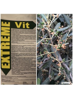 eXtreme vit Βιοδιεγέρτης με αμινοξέα, βιταμίνες και κάλιο 