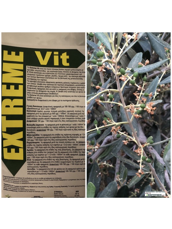 eXtreme vit Βιοδιεγέρτης με αμινοξέα, βιταμίνες και κάλιο 