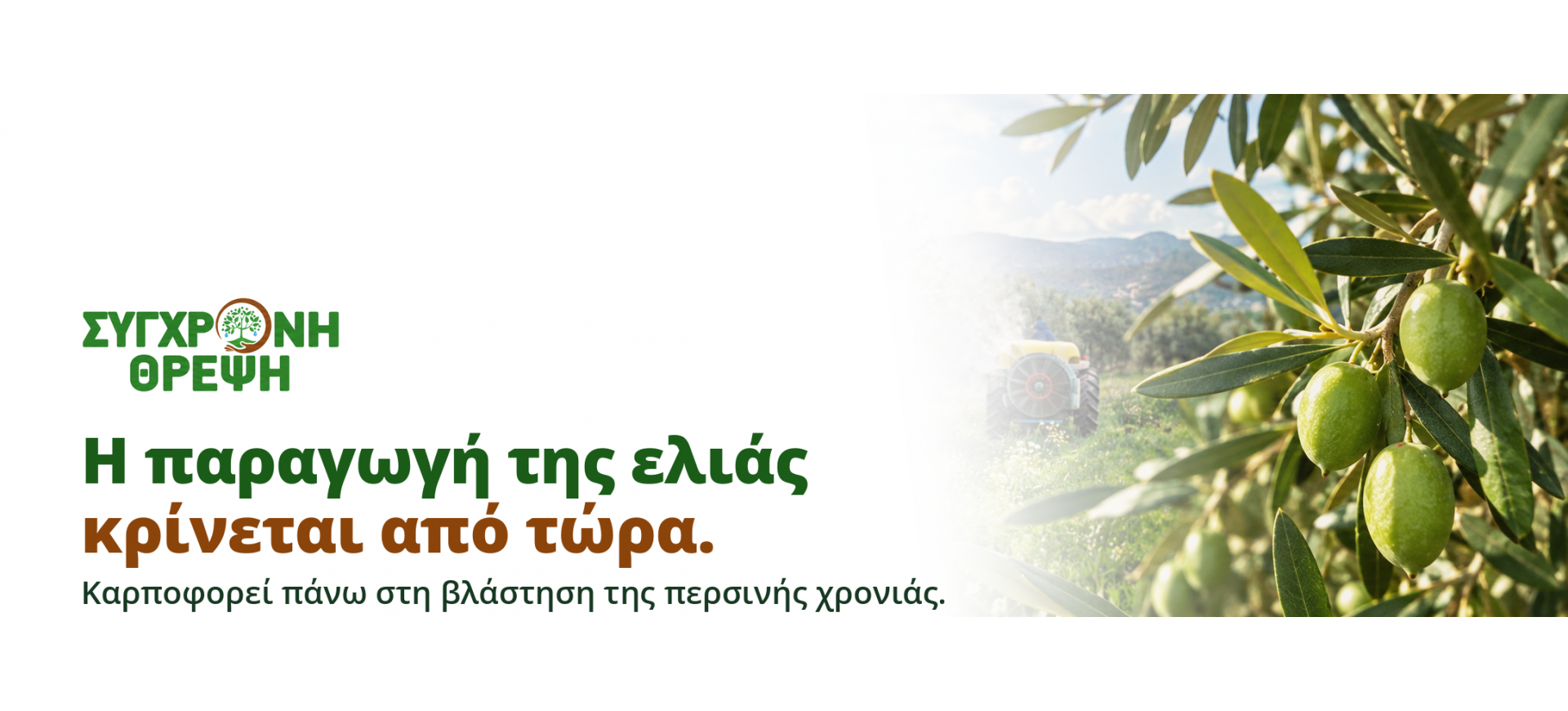ΕΛΙΑ ΠΡΟΓΡΑΜΜΑΤΙΣΕ