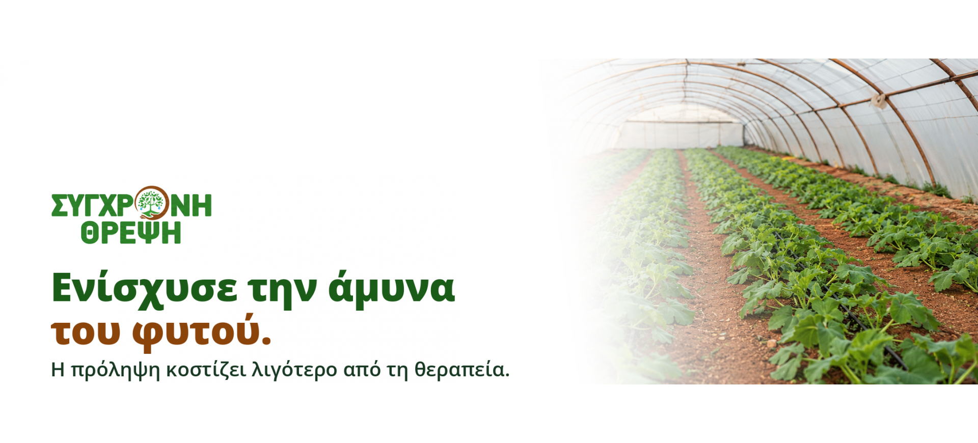 ΑΜΥΝΑ ΦΥΤΟΥ