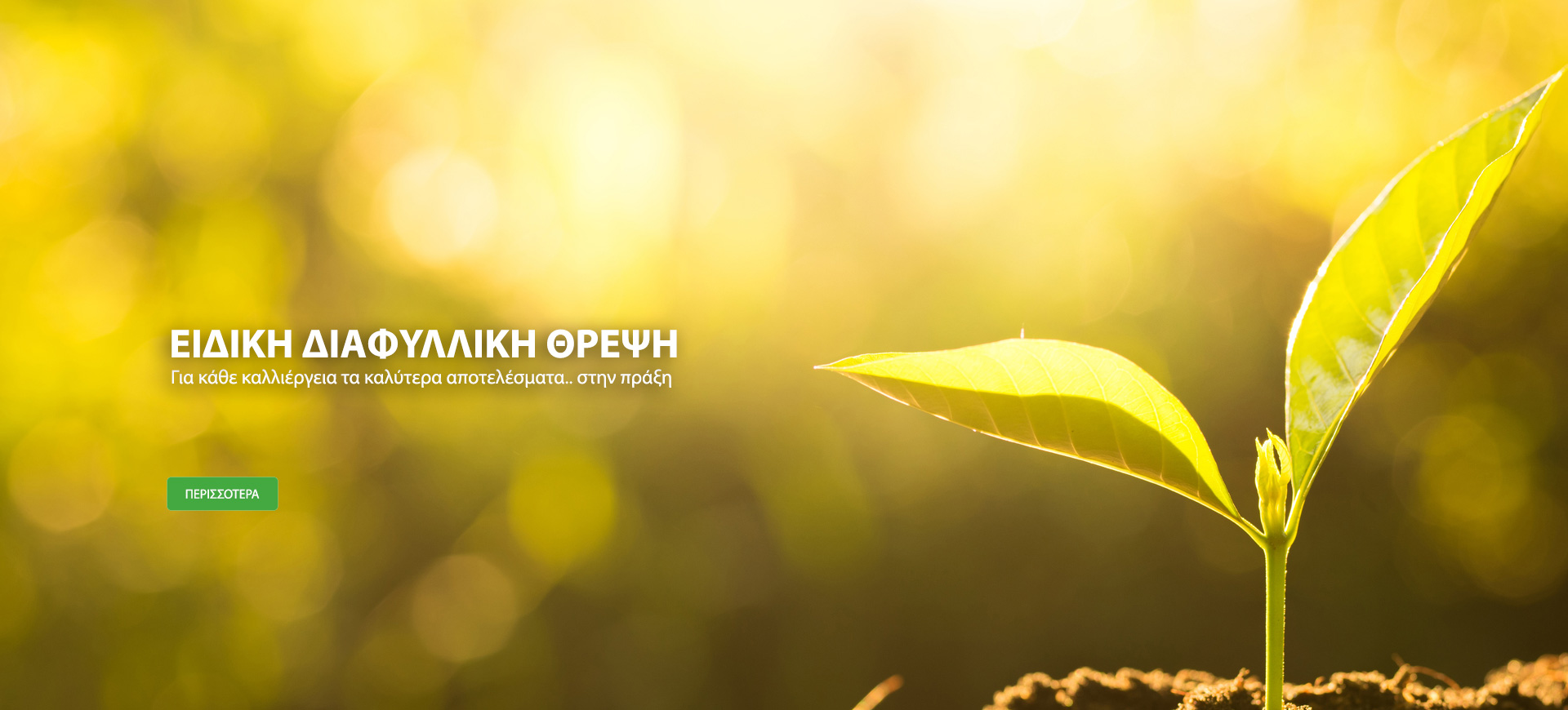 Main-Banner2