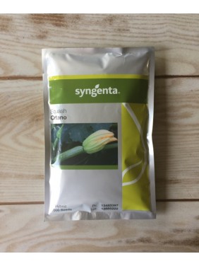 Κολοκύθι ORTANO F1 Syngenta (1000 σπόροι) Κολοκύθι ORTANO F1 Syngenta (1000 σπόροι)