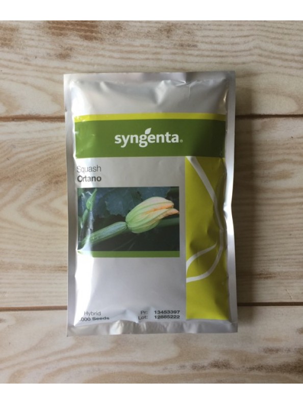 Κολοκύθι ORTANO F1 Syngenta (1000 σπόροι)