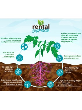 Rental Bioforce Μικροβιολογικό βελτιωτικό εδάφους και αναγέννησης κατεστραμμένων ριζών (1kg)