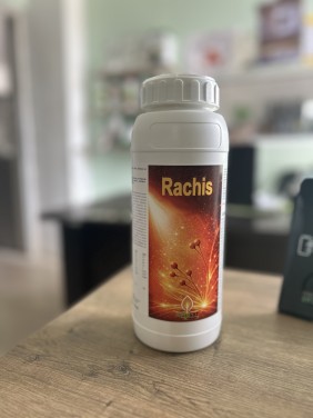 Rachis Ειδικό υγρό λίπασμα με υδατάνθρακες για την αντιμετώπιση της ξήρανσης της ράχης και ενίσχυση της θρέψης των φυτών (1lt)