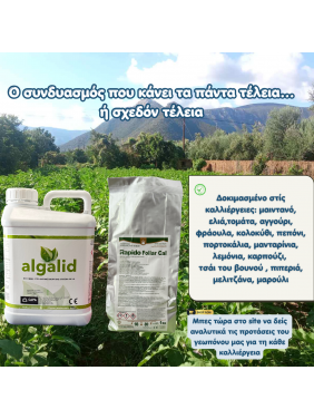 Rapido Foliar Cal 15-5-20+(6)+(2) Ειδικό λίπασμα για διαφυλλική χρήση Με ασβέστιο και μαγνήσιο 