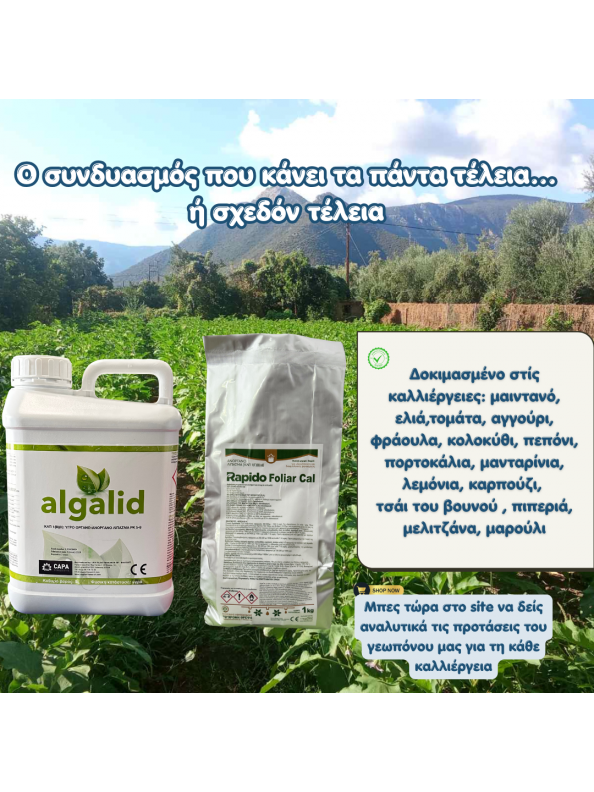 Rapido Foliar Cal 15-5-20+(6)+(2) Ειδικό λίπασμα για διαφυλλική χρήση Με ασβέστιο και μαγνήσιο 