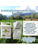 Rapido Foliar Cal 15-5-20+(6)+(2) Ειδικό λίπασμα για διαφυλλική χρήση Με ασβέστιο και μαγνήσιο 