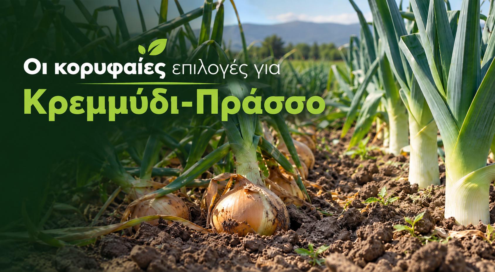 Οι κορυφαίες επιλογές για Κρεμμύδι–Πράσο